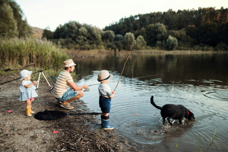 NO MORE FISHING! How to Stop Your Dog Getting Caught Out From Fishing Mishaps